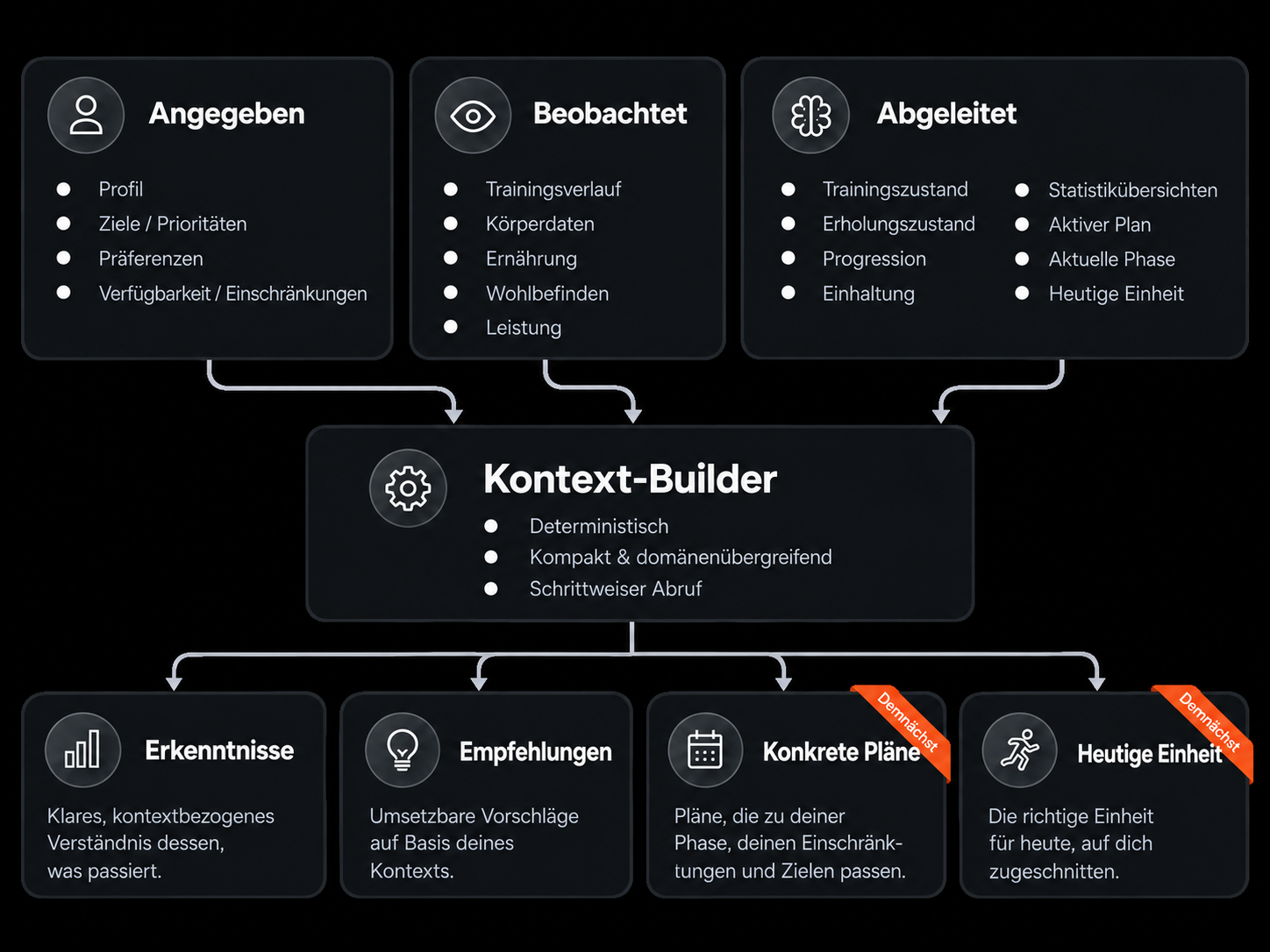 Diagramm, das zeigt, wie Shape Journey dein Profil, deinen bisherigen Verlauf und deinen aktuellen Stand zu einem lebendigen Gesamtbild deiner sportlichen Entwicklung verbindet