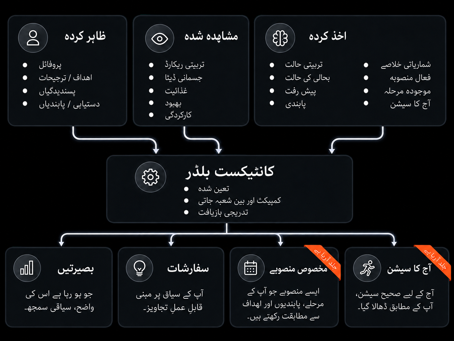 خاکہ دکھاتا ہے کہ Shape Journey آپ کے پروفائل، سابقہ ریکارڈ اور موجودہ حالت کو ملا کر بطور ایتھلیٹ آپ کی ایک جیتی جاگتی تصویر کیسے بناتا ہے۔