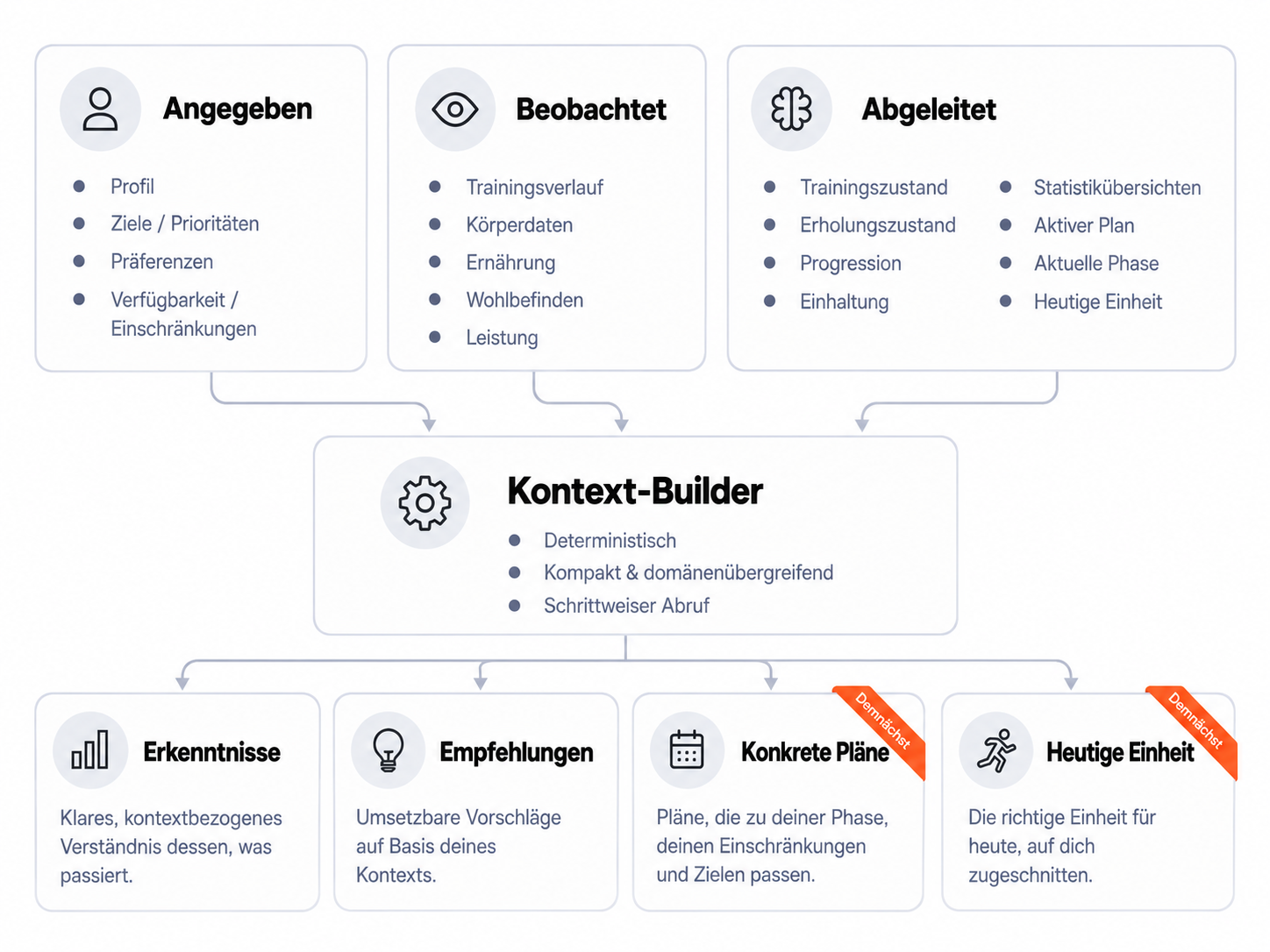 Diagramm, das zeigt, wie Shape Journey dein Profil, deinen bisherigen Verlauf und deinen aktuellen Stand zu einem lebendigen Gesamtbild deiner sportlichen Entwicklung verbindet